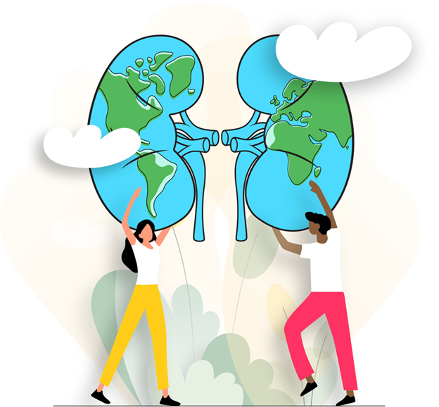 12 марта - Всемирный день почки -2026 