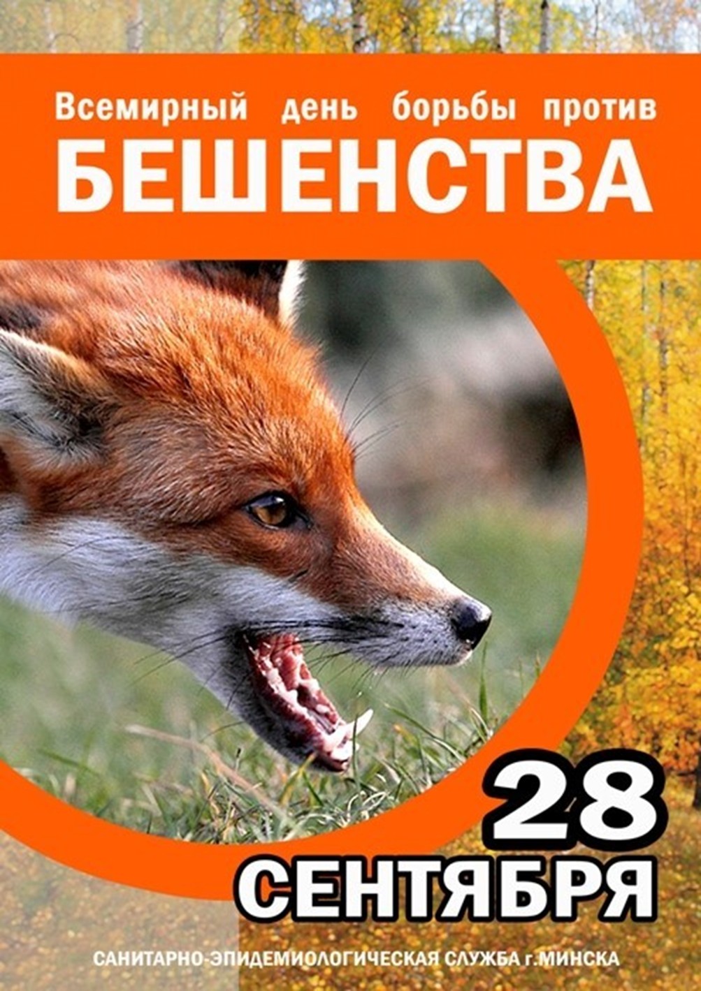 28 сентября - Всемирный день борьбы с бешенством