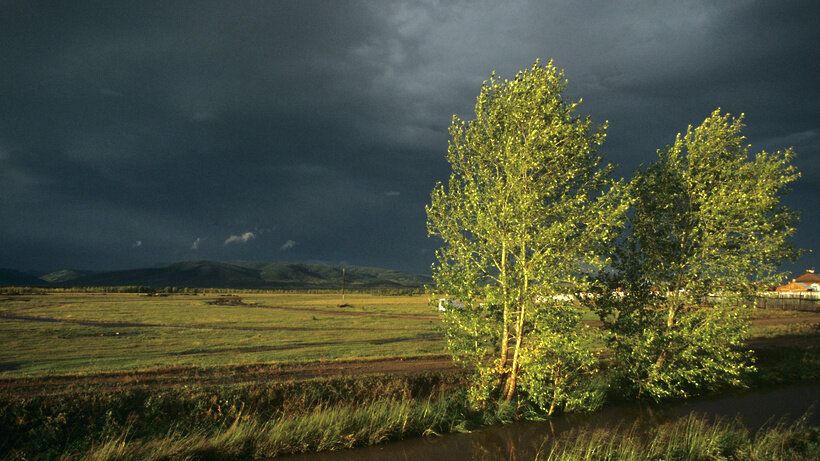 image6